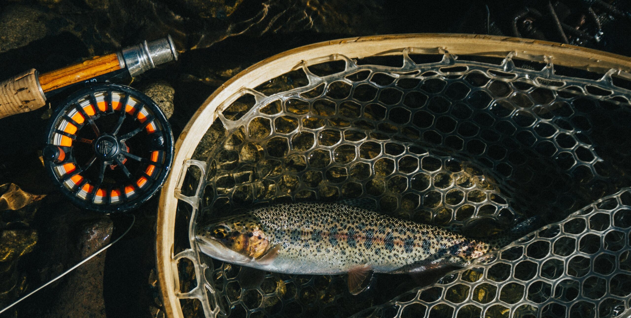 Fly fishing on the south platte river